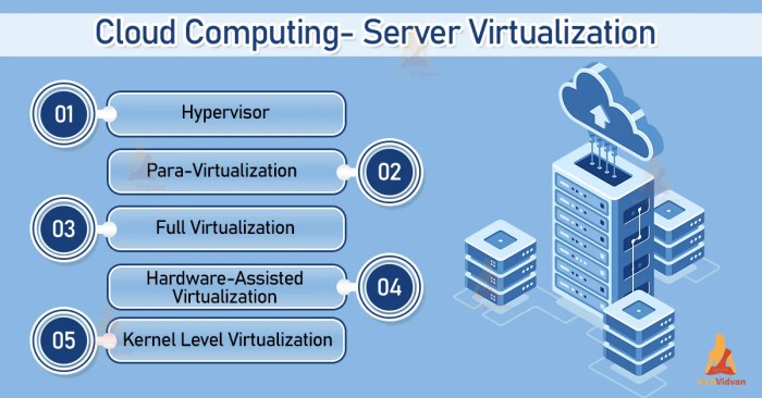 Virtualization computing infrastructure dnsstuff managing