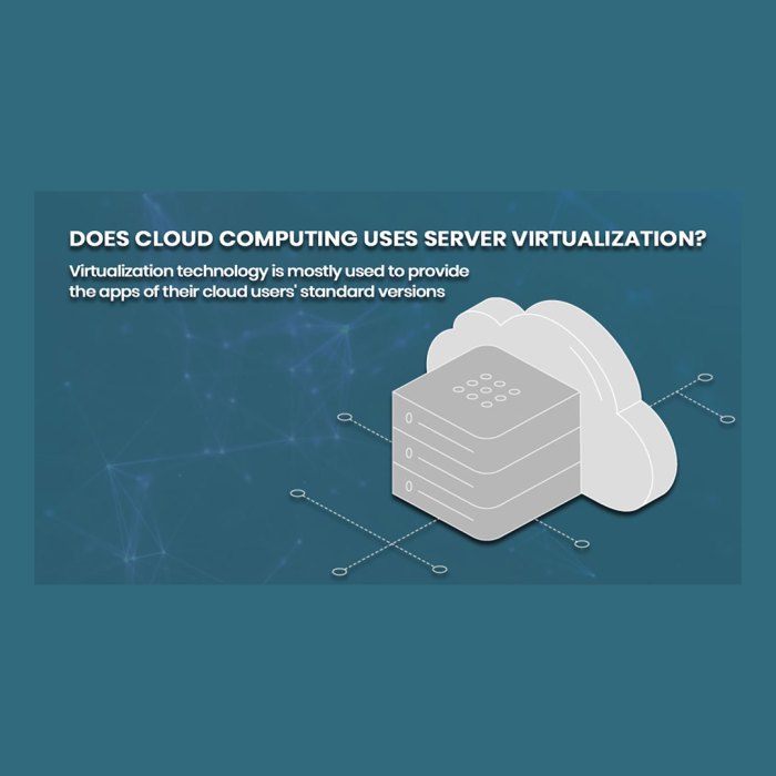 Cloud computing uses server virtualization quizlet true or false