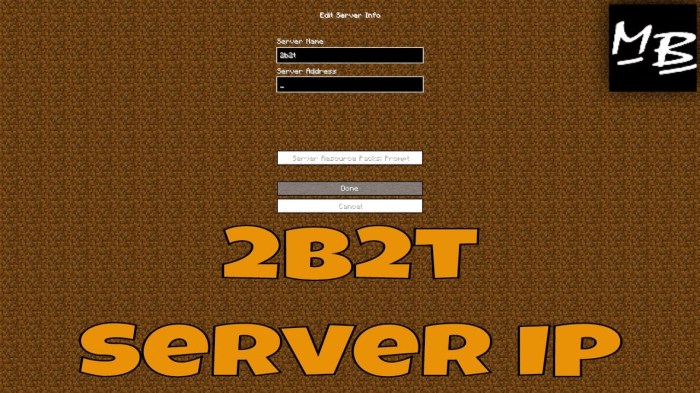 Server minecraft ip connect port domain sub address multiplayer example dedicated used play use java get grain pc look like