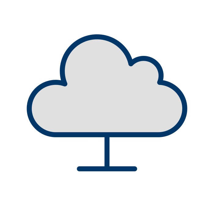 Cloud computing server vector