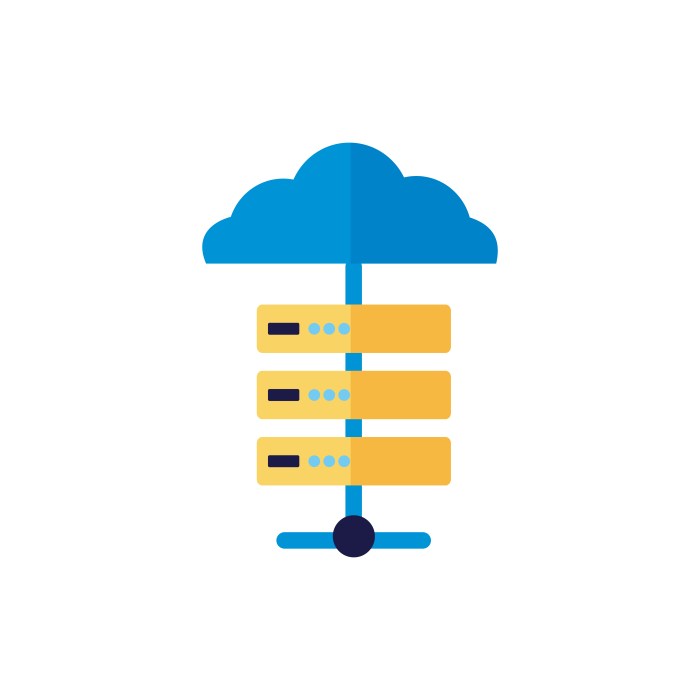 Cloud computing server vector