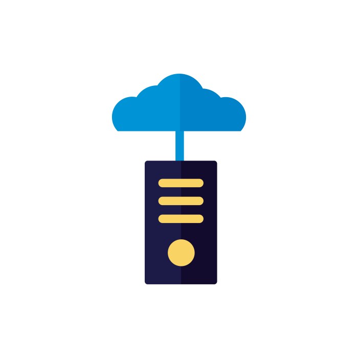 Cloud computing server vector