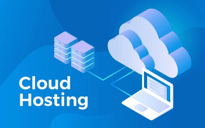 Cloud computing web hosting server