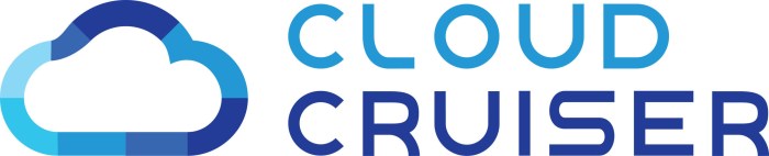 Cloud cruiser usage server