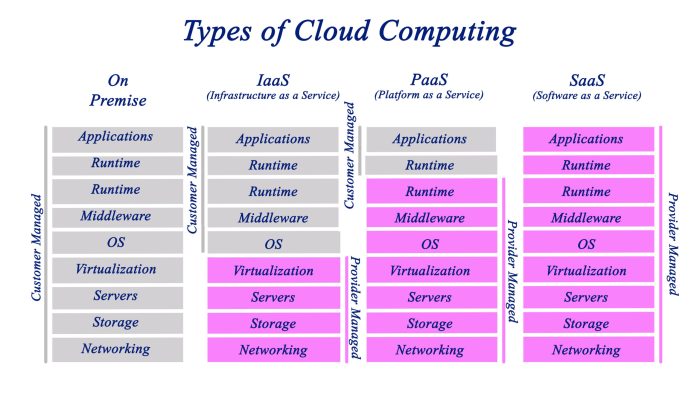 Cloud computing server types