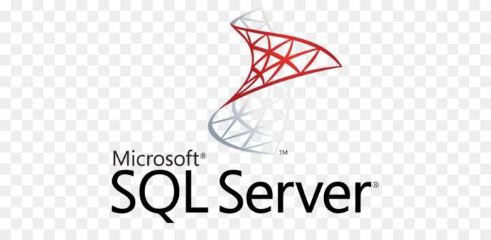 Cloud computing sql server 2008